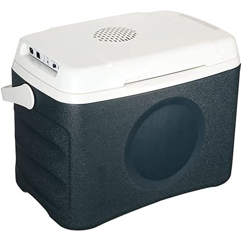 electricity-free cooler box|portable electric cooler box.